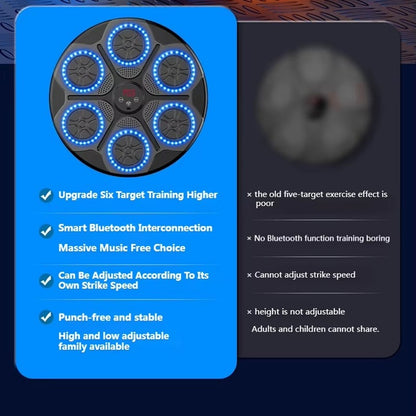 HitWave Pro Music Boxing Pad